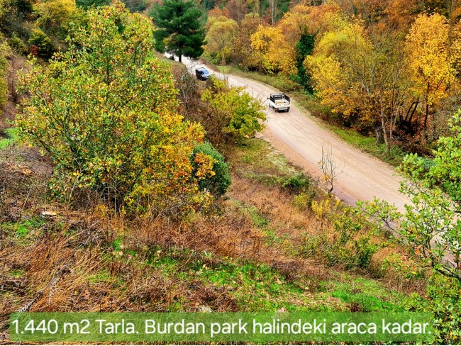 Balıkesir Sındırgı Osmanlar'da 1.440 m2 Asfalt Yola Cepheli Tarla. Açıklamayı Okuyarak Arayınız.