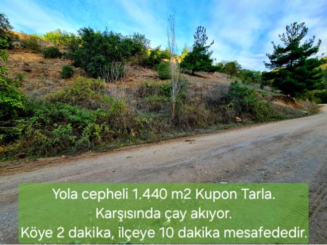 Balıkesir Sındırgı Osmanlar'da 1.440 m2 Asfalt Yola Cepheli Tarla. Açıklamayı Okuyarak Arayınız.