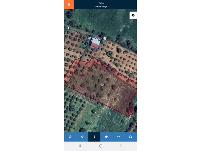 İzmir Ödemiş Küçükavulcuk'da 3.840 m2 Harika Bahçe. İlan Açıklamasını Okuyarak Arayınız.