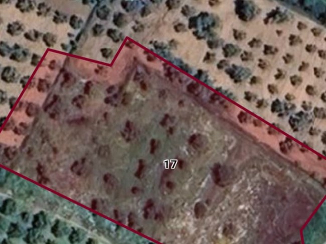 İzmir Ödemiş Küçükavulcuk'da 3.840 m2 Harika Bahçe. İlan Açıklamasını Okuyarak Arayınız.