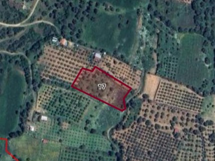 İzmir Ödemiş Küçükavulcuk'da 3.840 m2 Harika Bahçe. İlan Açıklamasını Okuyarak Arayınız.