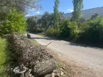 İzmir Beydağ Erikli'de 3.180 m2 Asfalt Yola Cepheli Zeytinlik. İlan Açıklamasını Okuyarak Arayınız.