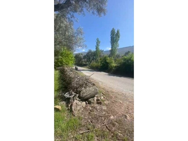 İzmir Beydağ Erikli'de 3.180 m2 Asfalt Yola Cepheli Zeytinlik. İlan Açıklamasını Okuyarak Arayınız.