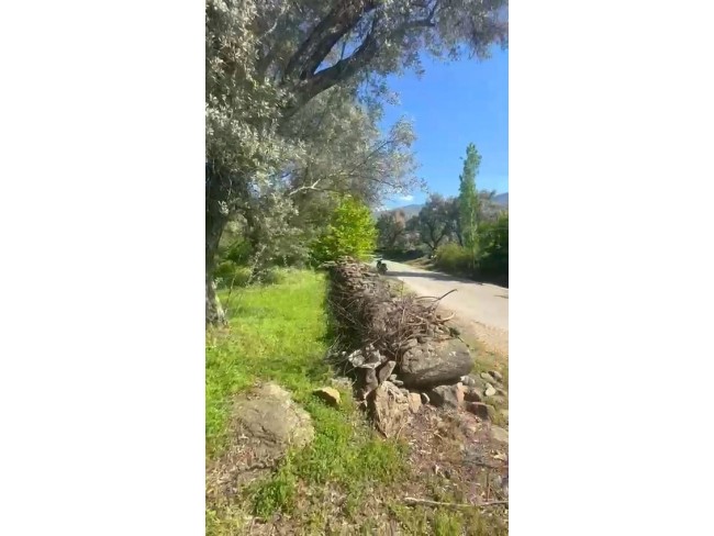 İzmir Beydağ Erikli'de 3.180 m2 Asfalt Yola Cepheli Zeytinlik. İlan Açıklamasını Okuyarak Arayınız. İzmir Beydağ Erikli'de 3.180 m2 Asfalt Yola Cepheli Zeytinlik. İlan Açıklamasını Okuyarak Arayınız.