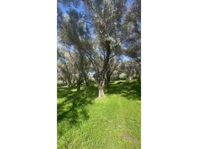 İzmir Beydağ Erikli'de 3.180 m2 Asfalt Yola Cepheli Zeytinlik. İlan Açıklamasını Okuyarak Arayınız. İzmir Beydağ Erikli'de 3.180 m2 Asfalt Yola Cepheli Zeytinlik. İlan Açıklamasını Okuyarak Arayınız.