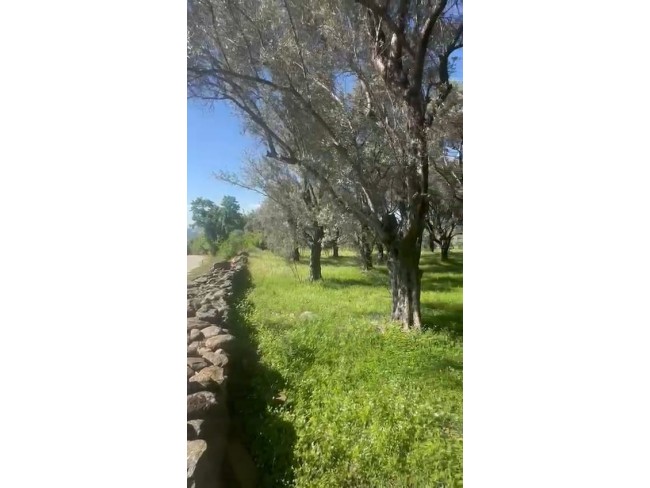 İzmir Beydağ Erikli'de 3.180 m2 Asfalt Yola Cepheli Zeytinlik. İlan Açıklamasını Okuyarak Arayınız. İzmir Beydağ Erikli'de 3.180 m2 Asfalt Yola Cepheli Zeytinlik. İlan Açıklamasını Okuyarak Arayınız.