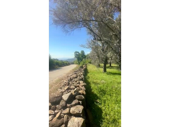 İzmir Beydağ Erikli'de 3.180 m2 Asfalt Yola Cepheli Zeytinlik. İlan Açıklamasını Okuyarak Arayınız. İzmir Beydağ Erikli'de 3.180 m2 Asfalt Yola Cepheli Zeytinlik. İlan Açıklamasını Okuyarak Arayınız.