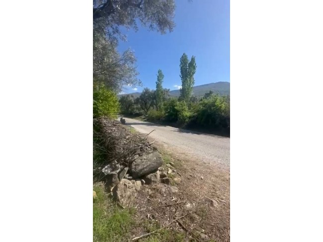 İzmir Beydağ Erikli'de 3.180 m2 Asfalt Yola Cepheli Zeytinlik. İlan Açıklamasını Okuyarak Arayınız. İzmir Beydağ Erikli'de 3.180 m2 Asfalt Yola Cepheli Zeytinlik. İlan Açıklamasını Okuyarak Arayınız.