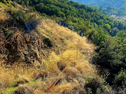İzmir Beydağ Tabaklar'da 5.243 m2 Yatırımlık Uygun Tarla. İlan Açıklamasını Okuyarak Arayınız.