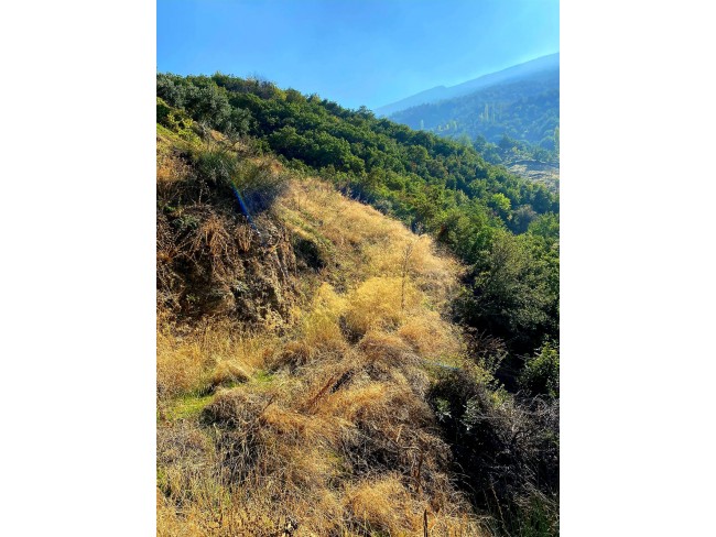 İzmir Beydağ Tabaklar'da 5.243 m2 Yatırımlık Uygun Tarla. İlan Açıklamasını Okuyarak Arayınız. İzmir Beydağ Tabaklar'da 5.243 m2 Yatırımlık Uygun Tarla. İlan Açıklamasını Okuyarak Arayınız.