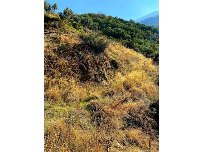 İzmir Beydağ Tabaklar'da 5.243 m2 Yatırımlık Uygun Tarla. İlan Açıklamasını Okuyarak Arayınız.