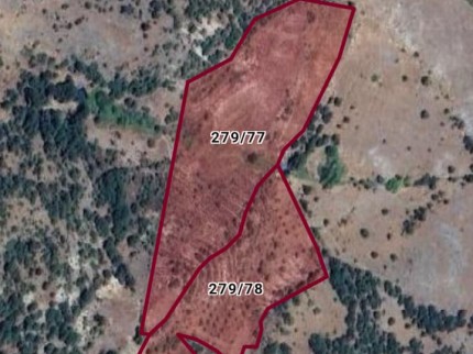 Balıkesir Dursunbey Delice'de Yatırımlık 25.587 m2 Ceviz Badem Bahçesi. İlan Açıklamasını Okuyunuz.