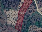 İzmir Beydağ Adaküre'de Köycivarı 3.528 m2 Uygun Zeytinlik. İlan Açıklamasını Okuyarak Arayınız.