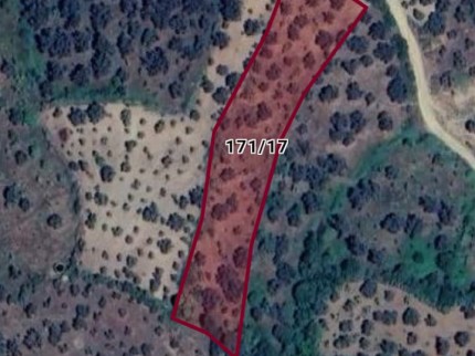 İzmir Beydağ Adaküre'de Köycivarı 3.528 m2 Uygun Zeytinlik. İlan Açıklamasını Okuyarak Arayınız.