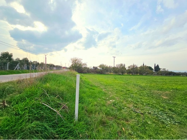İzmir Tire Eskioba'da 2.837 m2 Asfalt Yola Cepheli Tarla. İlan Açıklamasını Okuyarak Arayınız.