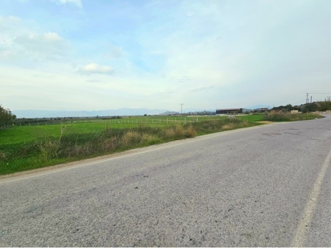 İzmir Tire Eskioba'da 2.837 m2 Asfalt Yola Cepheli Tarla. İlan Açıklamasını Okuyarak Arayınız.