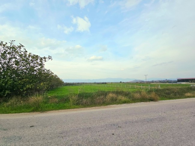 İzmir Tire Eskioba'da 2.837 m2 Asfalt Yola Cepheli Tarla. İlan Açıklamasını Okuyarak Arayınız.