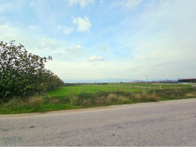 İzmir Tire Eskioba'da 2.837 m2 Asfalt Yola Cepheli Tarla. İlan Açıklamasını Okuyarak Arayınız.