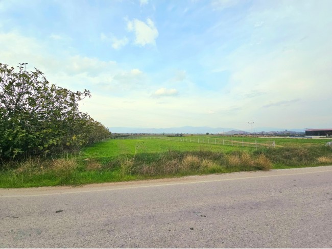 İzmir Tire Eskioba'da 2.837 m2 Asfalt Yola Cepheli Tarla. İlan Açıklamasını Okuyarak Arayınız.