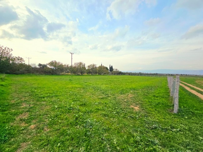 İzmir Tire Eskioba'da 2.837 m2 Asfalt Yola Cepheli Tarla. İlan Açıklamasını Okuyarak Arayınız.