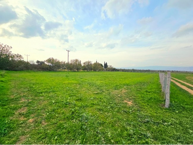 İzmir Tire Eskioba'da 2.837 m2 Asfalt Yola Cepheli Tarla. İlan Açıklamasını Okuyarak Arayınız.