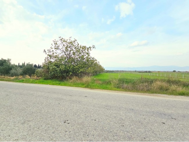 İzmir Tire Eskioba'da 2.837 m2 Asfalt Yola Cepheli Tarla. İlan Açıklamasını Okuyarak Arayınız.