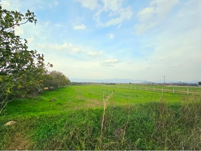 İzmir Tire Eskioba'da 2.837 m2 Asfalt Yola Cepheli Tarla. İlan Açıklamasını Okuyarak Arayınız.