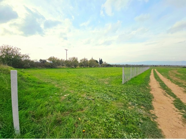 İzmir Tire Eskioba'da 2.837 m2 Asfalt Yola Cepheli Tarla. İlan Açıklamasını Okuyarak Arayınız.