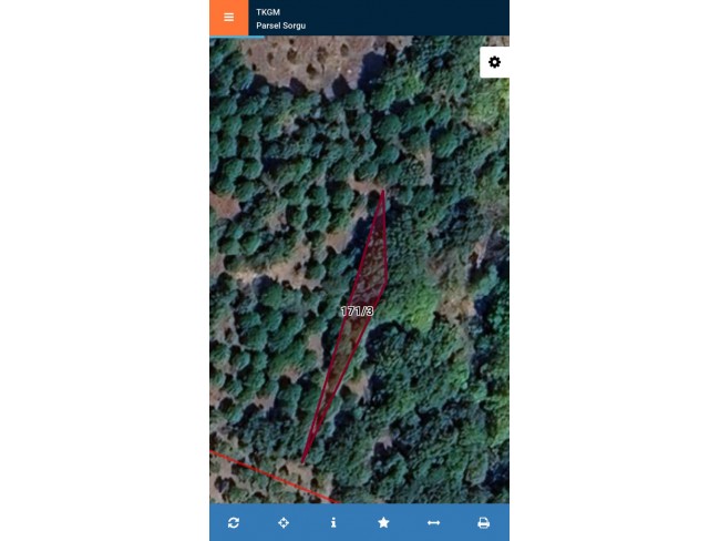 İzmir Bergama Yukarıada 19.897 m2 Bahçe. Antep Fıstığı, Ceviz, Kestane, Zeytin. Açıklamayı Okuyunuz.