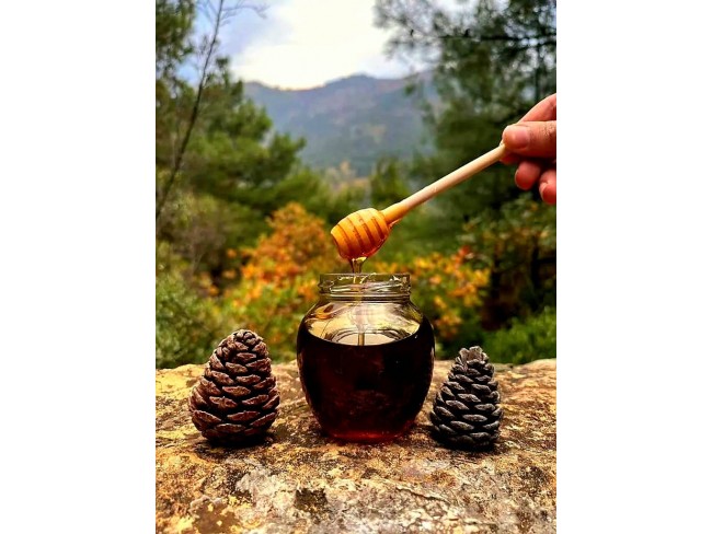 İzmir Bergama Yukarıada 19.897 m2 Bahçe. Antep Fıstığı, Ceviz, Kestane, Zeytin. Açıklamayı Okuyunuz.