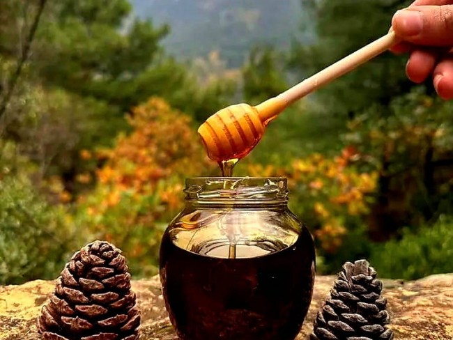 İzmir Bergama Yukarıada 19.897 m2 Bahçe. Antep Fıstığı, Ceviz, Kestane, Zeytin. Açıklamayı Okuyunuz.