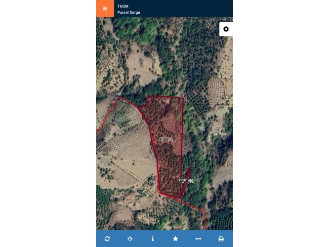İzmir Bergama Yukarıada 19.897 m2 Bahçe. Antep Fıstığı, Ceviz, Kestane, Zeytin. Açıklamayı Okuyunuz.