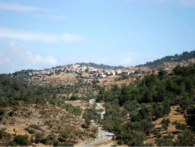 İzmir Bergama Yukarıada 19.897 m2 Bahçe. Antep Fıstığı, Ceviz, Kestane, Zeytin. Açıklamayı Okuyunuz.