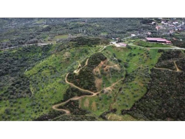 İzmir Beydağ Erikli'de Köy Yanı 9.300 m2 Zeytinlik ve İncir Bahçesi. Açıklamayı Okuyarak Arayınız.