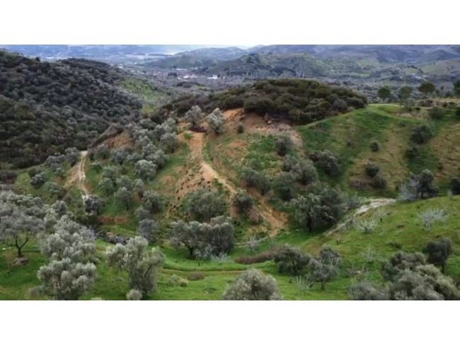 İzmir Beydağ Erikli'de Köy Yanı 9.300 m2 Zeytinlik ve İncir Bahçesi. Açıklamayı Okuyarak Arayınız.