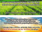 Kütahya Emet Örencik Köyiçi Elektrik Sulu Şeker Pancarı Ekili 1.463 M2 Tarla. Açıklamayı Okuyunuz