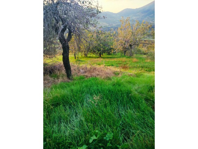 İzmir Kiraz Gedik'de 2 Adet Çiftlik Evi Dam, 16.550 m2 Meyve Ağaçları. Açıklamayı Okuyarak Arayınız.