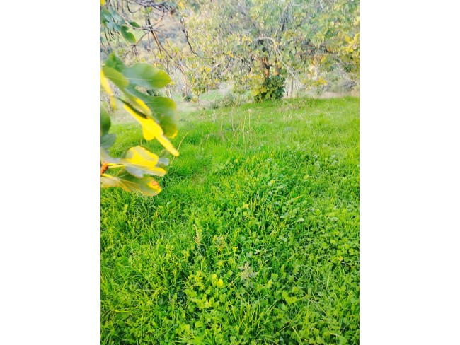 İzmir Kiraz Gedik'de 2 Adet Çiftlik Evi Dam, 16.550 m2 Meyve Ağaçları. Açıklamayı Okuyarak Arayınız.