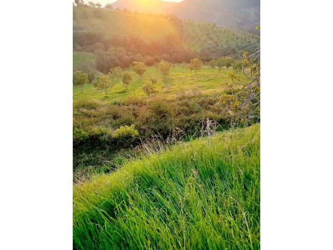 İzmir Kiraz Gedik'de 2 Adet Çiftlik Evi Dam, 16.550 m2 Meyve Ağaçları. Açıklamayı Okuyarak Arayınız.