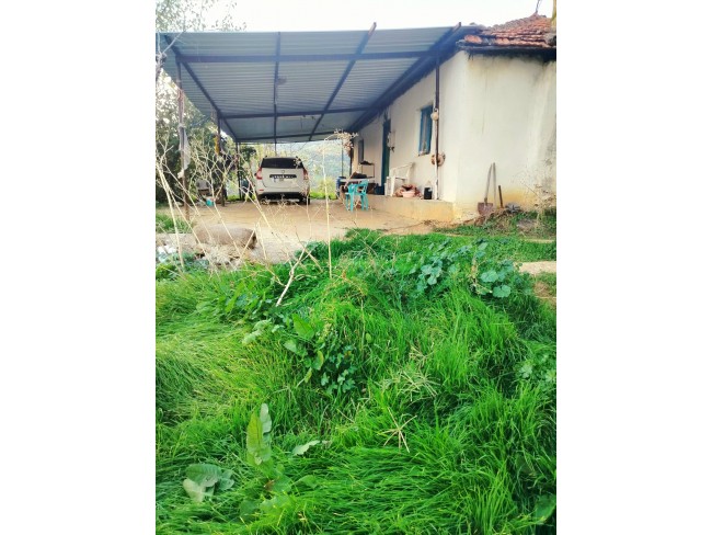 İzmir Kiraz Gedik'de 2 Adet Çiftlik Evi Dam, 16.550 m2 Meyve Ağaçları. Açıklamayı Okuyarak Arayınız.