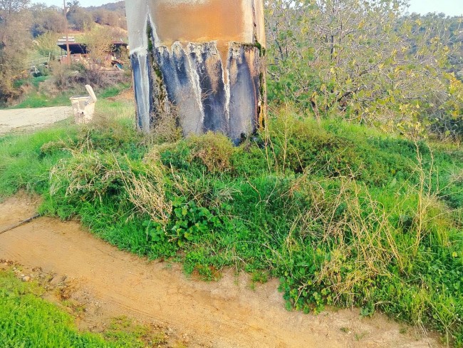 İzmir Kiraz Gedik'de 2 Adet Çiftlik Evi Dam, 16.550 m2 Meyve Ağaçları. Açıklamayı Okuyarak Arayınız. İzmir Kiraz Gedik'de 2 Adet Çiftlik Evi Dam, 16.550 m2 Meyve Ağaçları. Açıklamayı Okuyarak Arayınız.