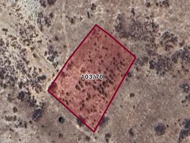 Denizli Bekilli Çamköy'de 4.206 m2 Yatırımlık Düz Tarla. İlan Açıklamasını Okuyarak Arayınız.