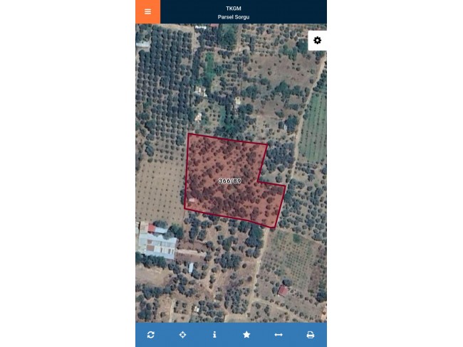 İzmir Kemalpaşa Armutlu Hürriyet'te 5.856 m2 Kiraz Zeytin Bağı. Daire Takaslı. Açıklamayı Okuyunuz.