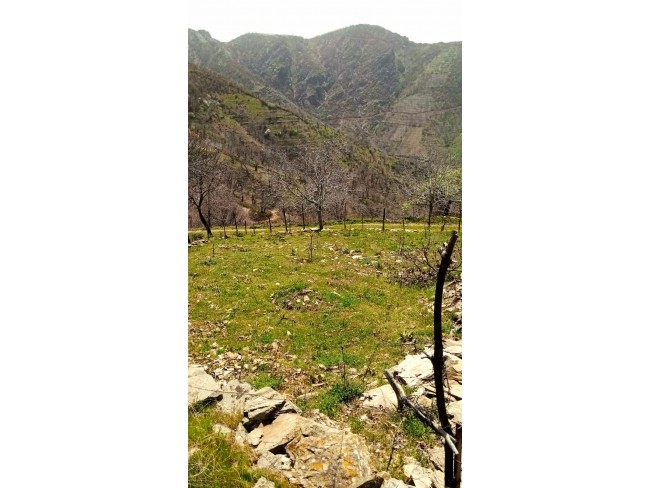 İzmir Tire Küçükkemerdere'de 290 m2 Manzaralı Güzel Cevizlik. İlan Açıklamasını Okuyarak Arayınız.