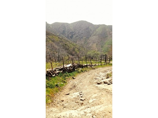 İzmir Tire Küçükkemerdere'de 290 m2 Manzaralı Güzel Cevizlik. İlan Açıklamasını Okuyarak Arayınız.