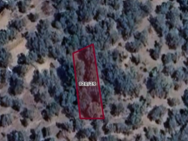 İzmir Bayındır Gaziler'de 342 m2 Asfalt Yolun Üstünde Uygun Zeytinlik. Açıklamayı Okuyarak Arayınız.