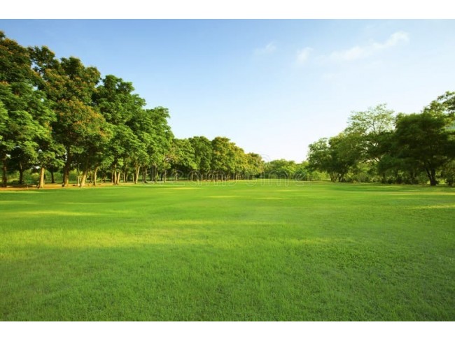 İzmir Selçuk Havutçulu'da Ana Caddeye Cepheli 6.549 m2 Tarla. İlan Açıklamasını Okuyarak Arayınız.