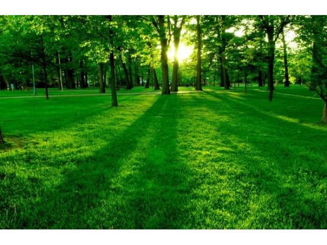 İzmir Selçuk Havutçulu'da Ana Caddeye Cepheli 6.549 m2 Tarla. İlan Açıklamasını Okuyarak Arayınız.