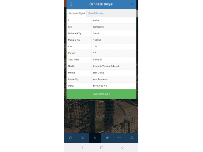 Aydın Germencik Selatin'de 5.999 m2 Zeytin ve İncir Bahçesi. İlan Açıklamasını Okuyarak Arayınız.