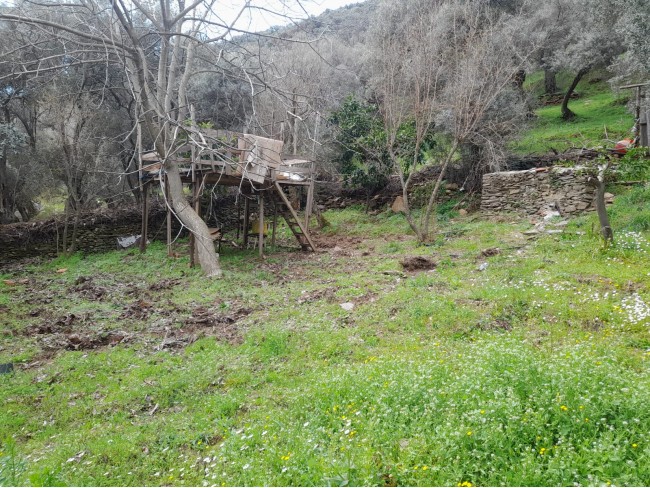 İzmir Bayındır Kızıloba'da 705 m2 Akarsu Yanı Zeytinlik. İlan Açıklamasını Okuyarak Arayınız.